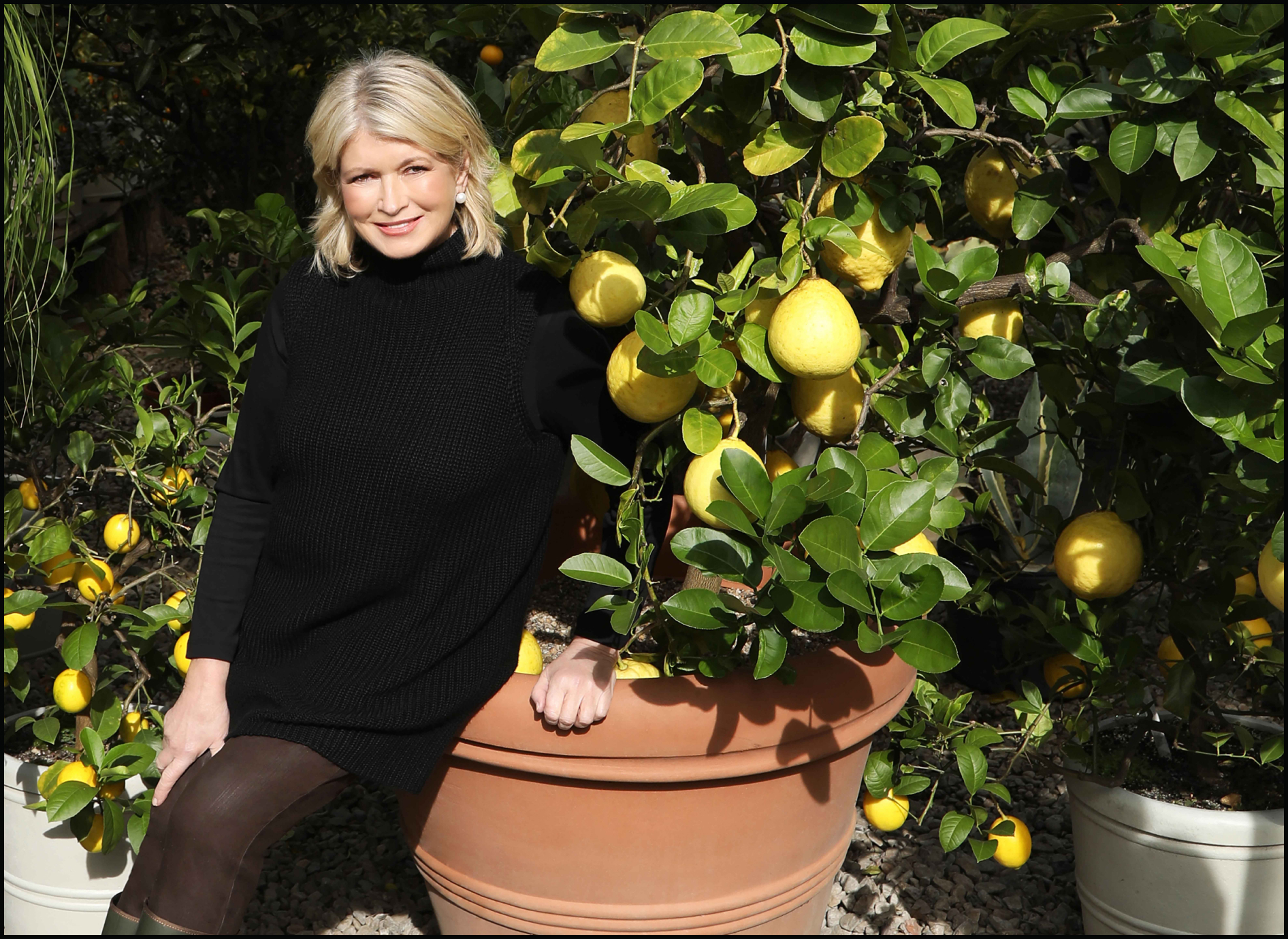 Martha Stewart standing next to a lemon tree