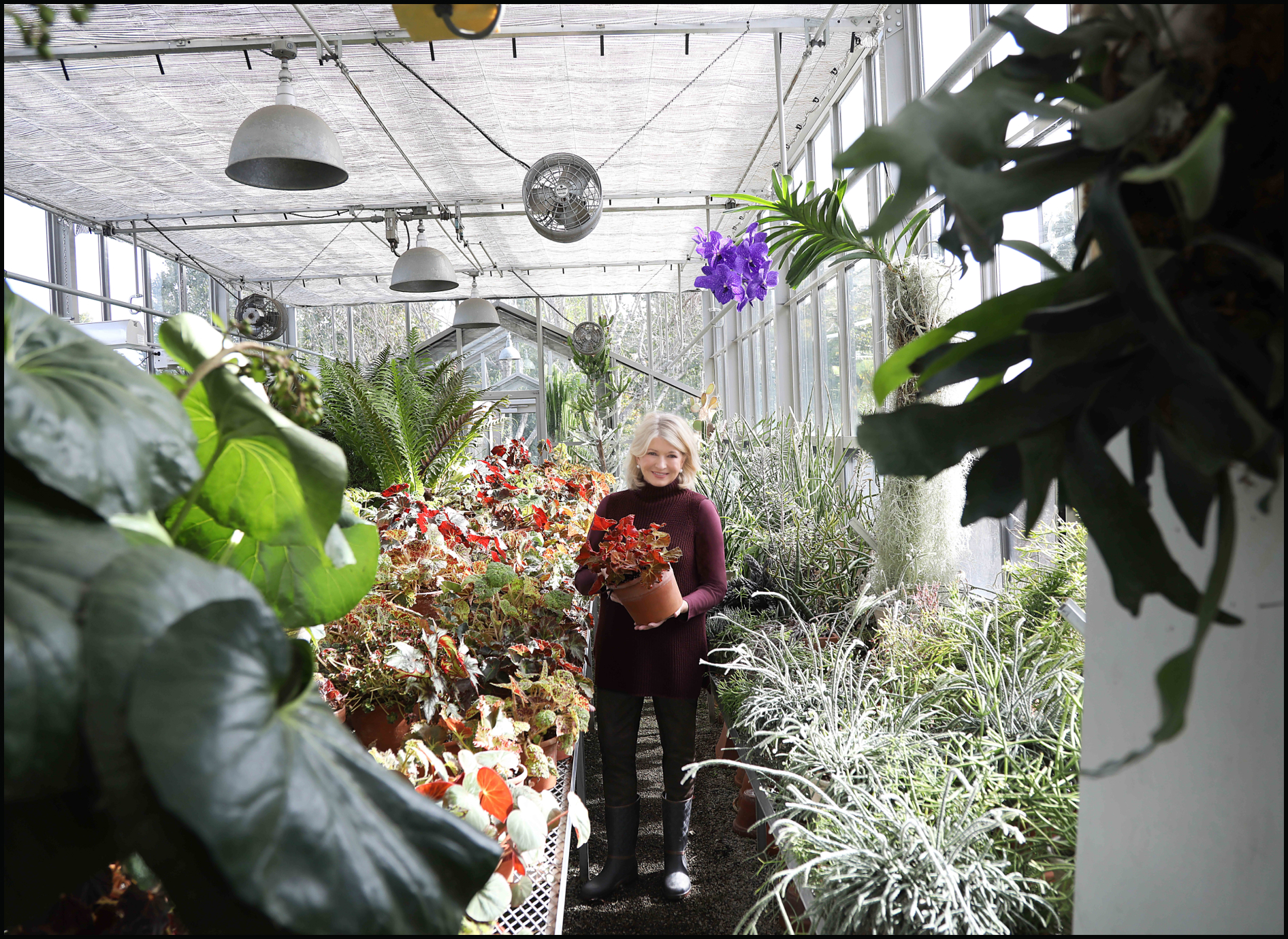 Martha Stewart in a greenhouse